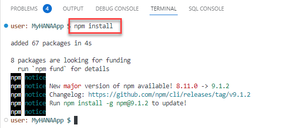 npm install