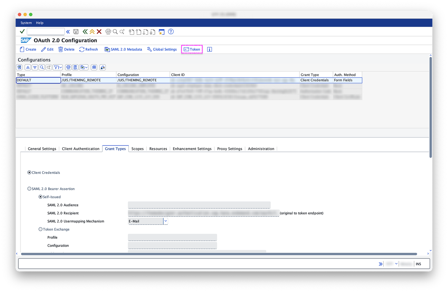 2.9: SOAUTH2_CLIENT in Display mode with Token button