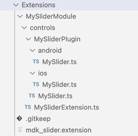 Extensions Folder Final Structure