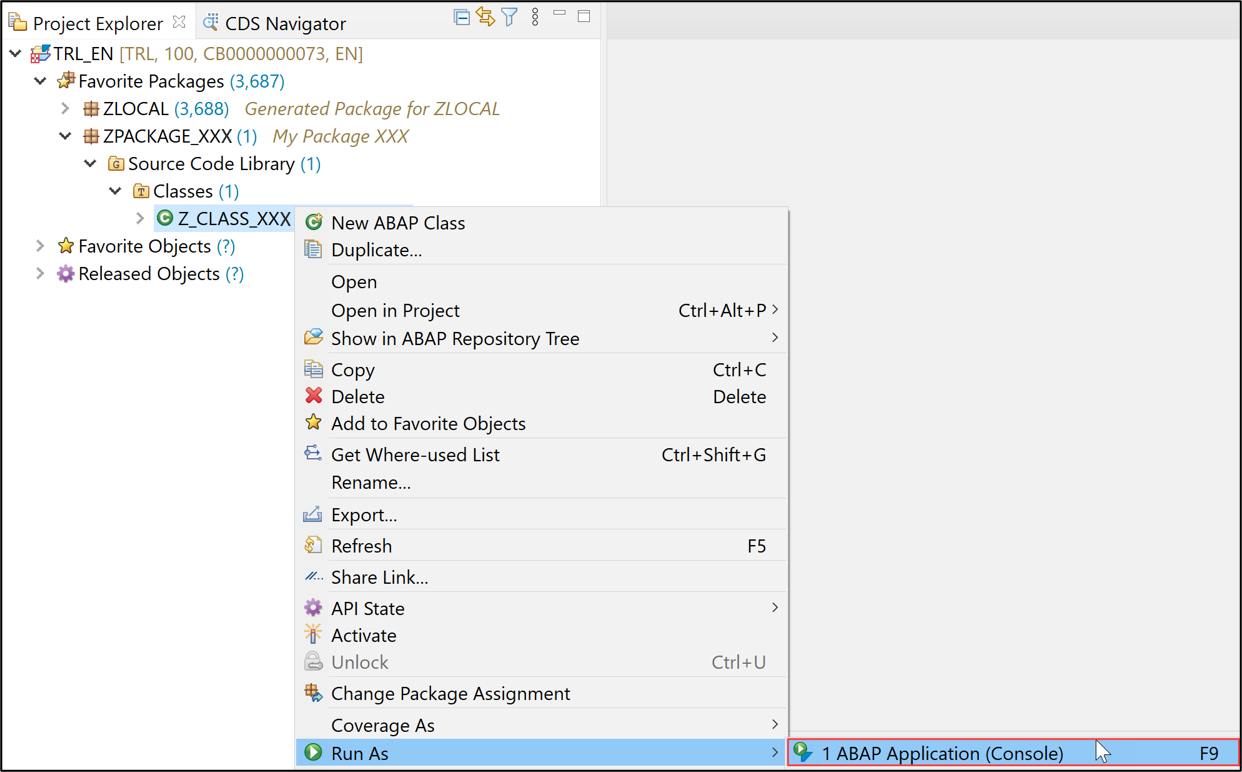 Execute ABAP application