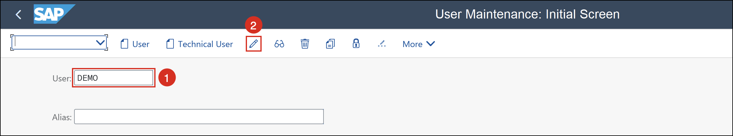 User Maintenance: Initial Screen