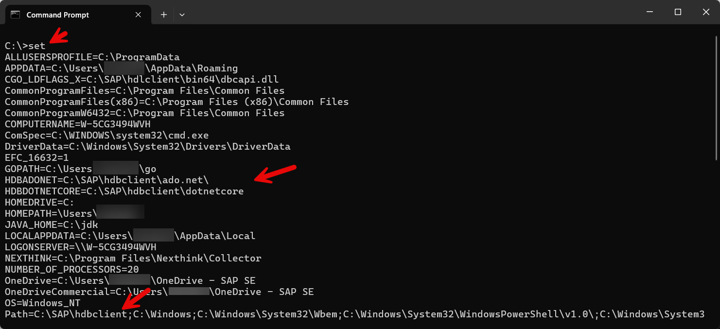 using set to view environment variables