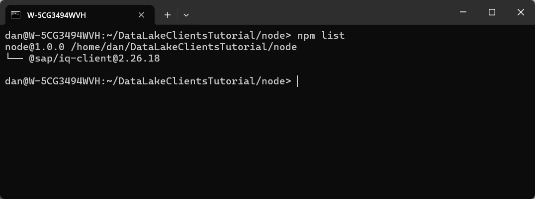 npm list